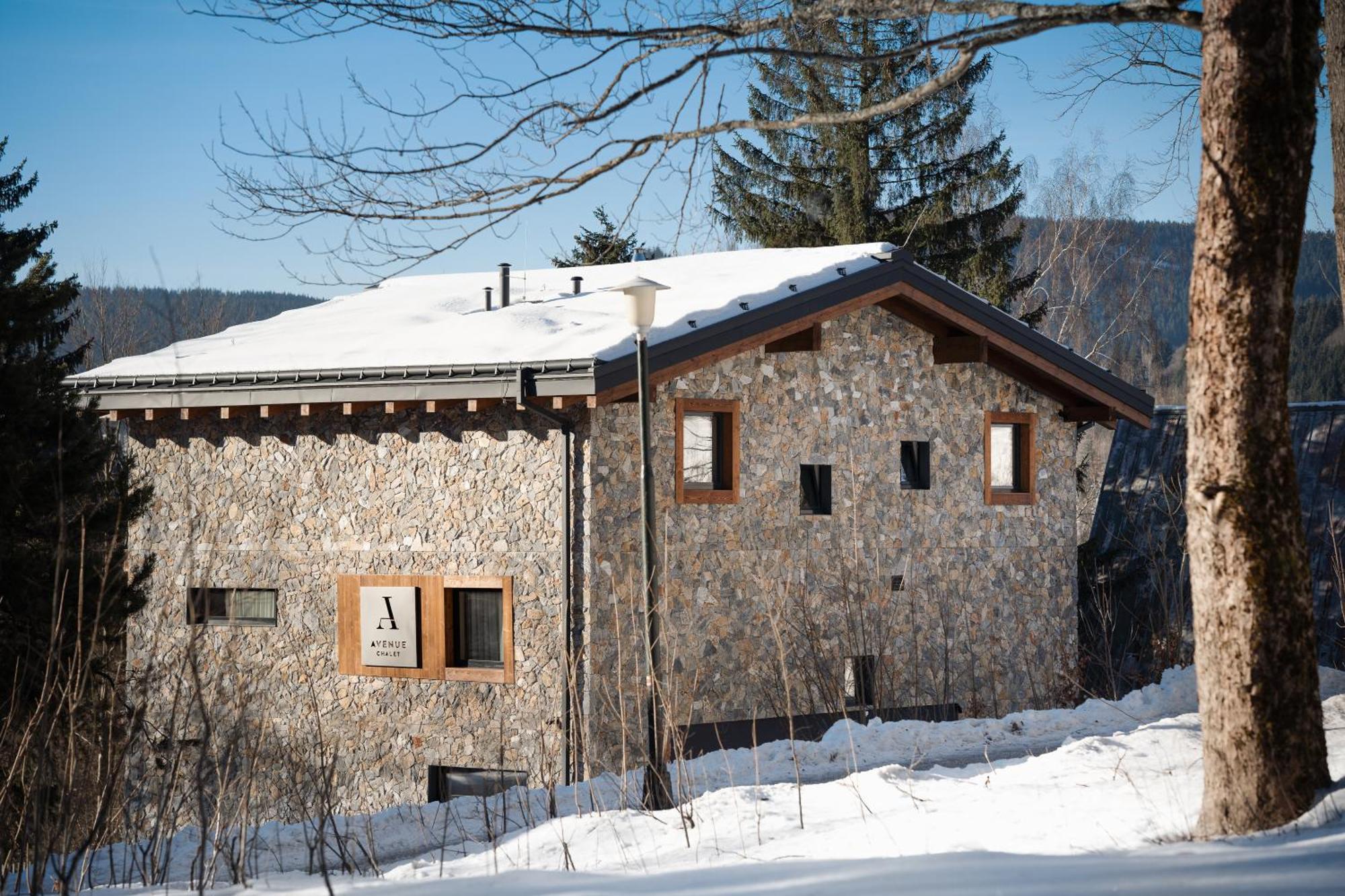 Avenue Chalet Špindlerŭv Mlýn Eksteriør bilde